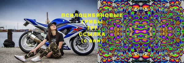 амф Бугульма