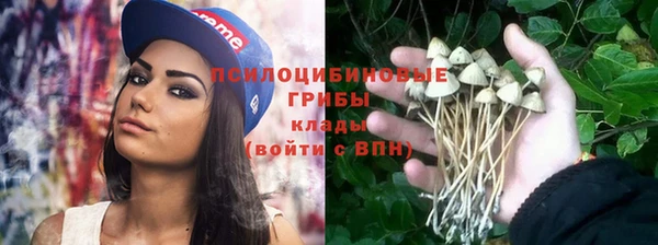 MDMA Бородино